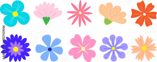 Colorful flower head vector set, cute flat floral clipart collection with various petal designs