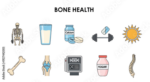 Infographic illustrating ten visual concepts related to bone health