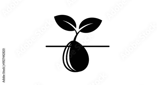 Black Seedling Growing Out.