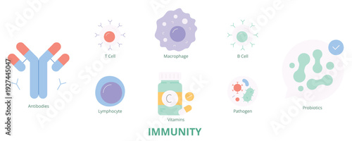 Immunity Flat Banner Web Icon Set Vector Illustration