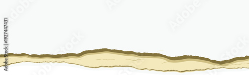 Torn edge of a sheet of paper or parchment with a rough, uneven border on a neutral surface from a close-up viewpoint