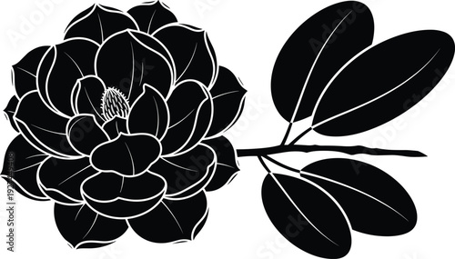 Black and white magnolia flower silhouette with leaves on branch isolated on white background, elegant floral botanical nature