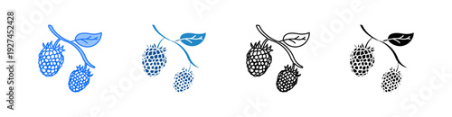 Blackberry Multiple Style Icon Set 