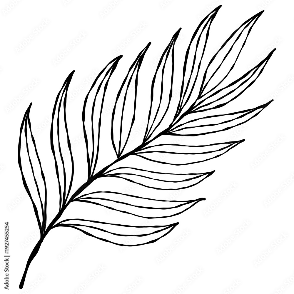 Obraz premium Elegant hand-drawn botanical leaf branch doodle in a minimalist line art style.