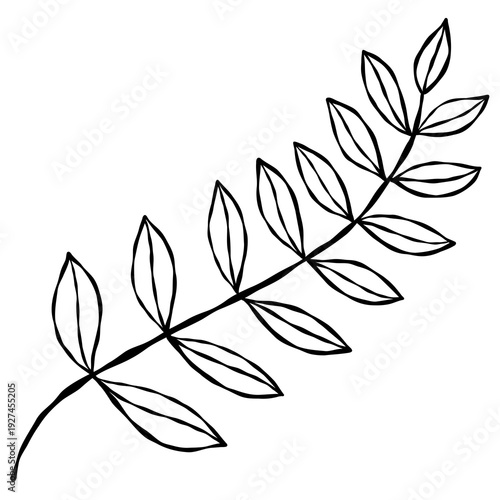 Wallpaper Mural Elegant hand-drawn botanical leaf branch doodle in a minimalist line art style. Torontodigital.ca