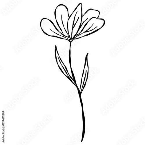 Wallpaper Mural Elegant hand-drawn botanical leaf branch doodle in a minimalist line art style. Torontodigital.ca