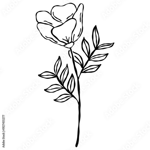 Wallpaper Mural Elegant hand-drawn botanical leaf branch doodle in a minimalist line art style. Torontodigital.ca