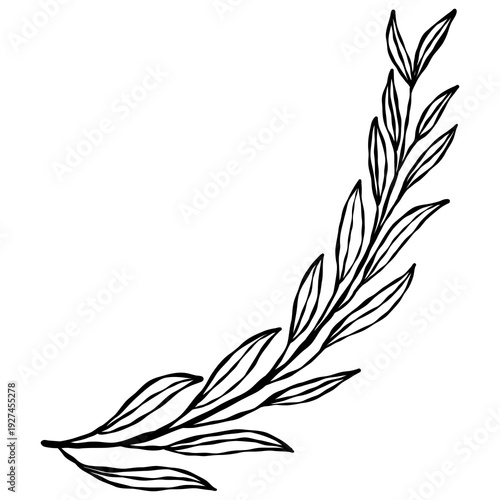 Wallpaper Mural Elegant hand-drawn botanical leaf branch doodle in a minimalist line art style. Torontodigital.ca