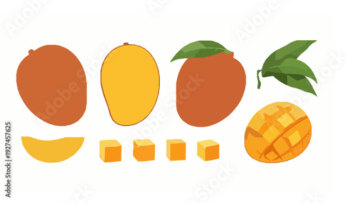 Top View Mango Fruit Flat Lay Vector Illustration with Slices and Leaves on White Background