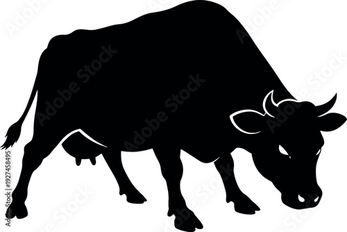 Silhouette Black Cow Standing on White Background for Agricultural and Farming Use