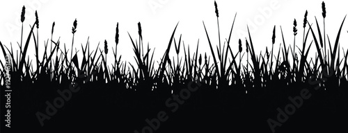 described features a silhouette of tall grass set against a white background, creating a visually striking contrast