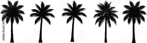 Set of tropical palm tree silhouettes standing in a row for summer vacation beach resort travel and exotic nature landscape designs