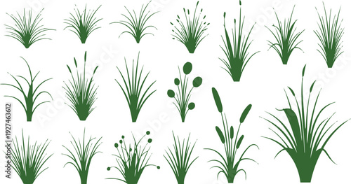 There is a collection of images of green grasses and plants, including bulrush. This arrangement creates a visually appealing grid that allows viewers to appreciate the diversity of plants represented