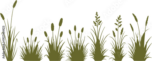 Displays a collection of tall grasses depicted as silhouettes. The use of a uniform dark green color for the grasses emphasizes their natural essence and maintains a consistent appearance. 