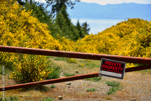 A private property warning sign attached to a locked metal gate with bright yellow scotch broom plants in the background. 
