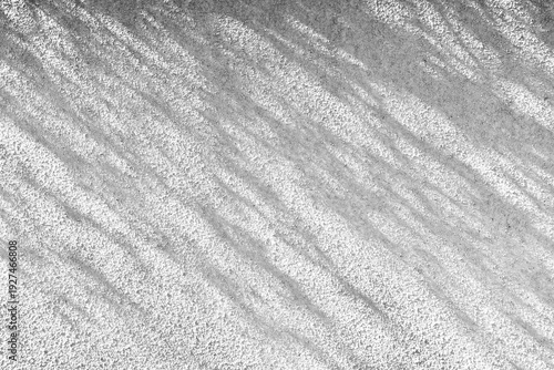 Wallpaper Mural 白い壁に映る木の葉の影、シルエット Torontodigital.ca