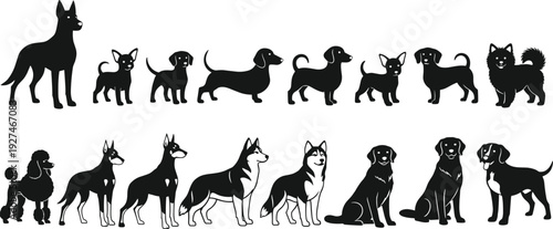 Vector Collection of Various Dog Breed Silhouettes Including Labrador Poodle Dachshund and Husky Isolated Icons for Pet Shop Design Projects