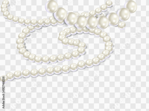 Pearl necklace or bracelet isolated. Precious white pearl beads, luxurious jewelry with natural gemstones. Vector illustration