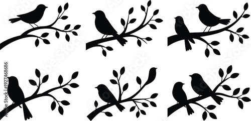 Black silhouettes of birds perched on tree branches with leaves on white background vector illustration
