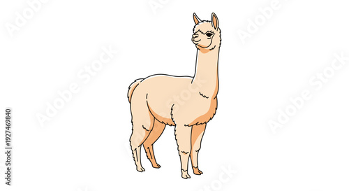 A full-body cartoon illustration of a cute cream-colored alpaca standing on a white background, looking slightly to the side.
