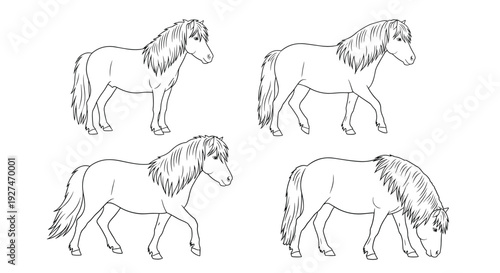 Four black and white line art illustrations of Icelandic ponies in various poses, including standing, walking, and grazing.