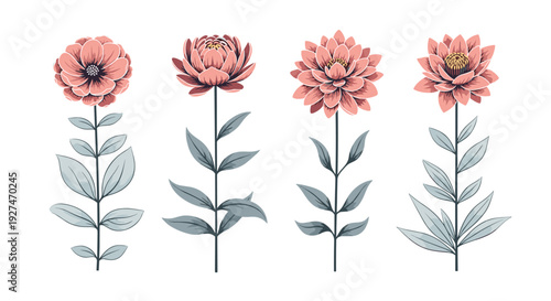 Four elegant botanical illustrations depicting various stylized pink flowers with detailed petals and delicate blue-green leaves, presented on a white background.