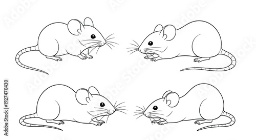 Line art illustration of four curious white mice with whiskers and tails, facing each other in pairs on a clean white background.