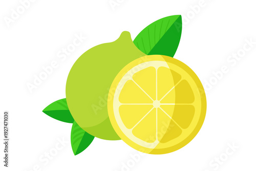 A vibrant vector illustration of a lemon and lime with leaves on a white background