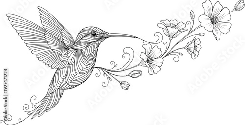 Detailed black and white line art illustration depicting a stylized hummingbird hovering near a delicate branch adorned with blooming flowers and swirling tendrils.