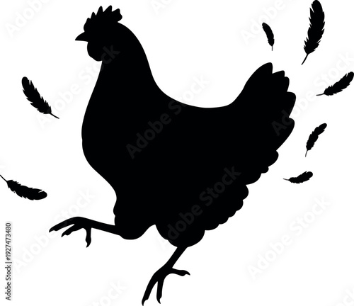 Silhouette of Rooster with Floating Feathers on White Background