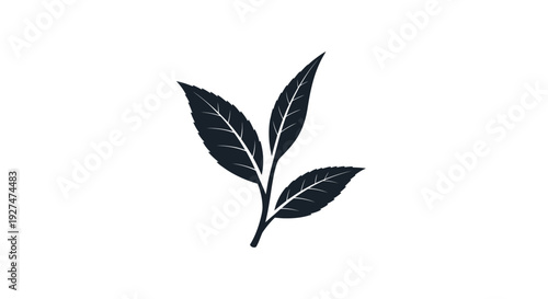 Simple black silhouette of three tea leaves on a white background