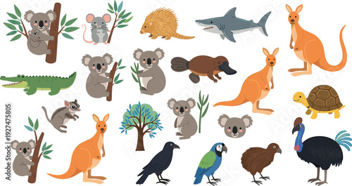 Australian wildlife animal illustration set with kangaroo, koala, platypus and birds in flat vector cartoon style for education and nature design