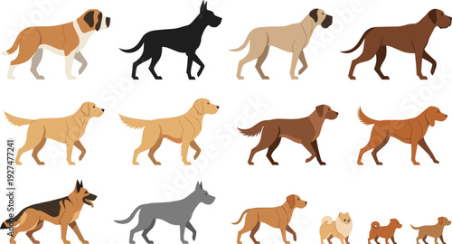 Dog breed collection with various walking and standing canine silhouettes vector set for pet, animal, and veterinary design projects