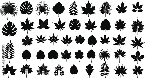 Leaf silhouette collection with various botanical foliage shapes vector set for autumn, nature design, and decorative plant illustrations