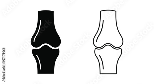 Anatomical illustration of a human knee joint shown in dual contrast