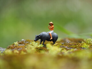 Mini toy of action figure at outdoor with blurred background. Miniature photography concept design. Farmer with flute and buffalo at farmland. Relaxing, resting and refreshing at nature.