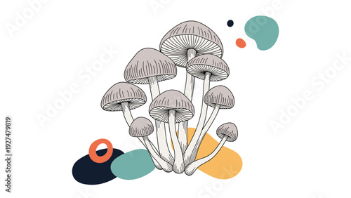 Hand-drawn sketch of a cluster of wild mushrooms combined with modern abstract organic shapes in muted colors on a white background.
