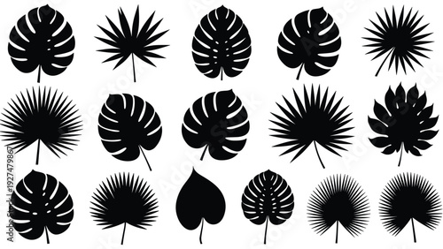 Large collection of black silhouettes of various tropical leaves, including monstera and fan palm, isolated on a white background.