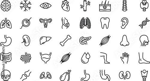 Black line art human anatomy icons set brain heart lungs liver kidney stomach intestine bone muscle organ vector illustration medical education biology