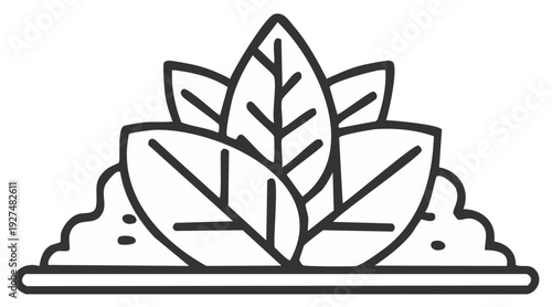 Stylized graphic of three tobacco leaves with soil elements