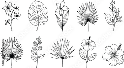 Floral Symphony: a collection of delicate floral line art, showcasing the exquisite beauty of various blossoms and foliage elements, perfect for adding a touch of nature's elegance.