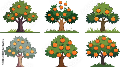 Collection of cartoon orange trees with ripe citrus fruits, isolated on white background, colorful vector illustration set for agriculture, orchard, and garden design.