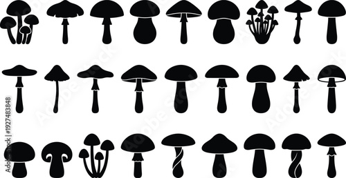 Black mushroom silhouette set featuring different forest fungus shapes, wild toadstool icons, various organic plant elements isolated on white background,