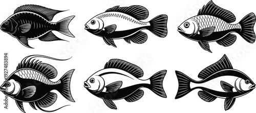 Collection of Detailed Fish Silhouettes in Black and White Vector Illustration Isolated on White Background for Fishing, Seafood and Marine Design