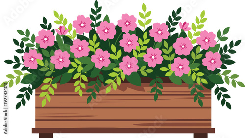 Colored vector illustration of blooming pink flowers with green leaves in a rustic wooden planter box for garden terrace and home floral decoration concepts