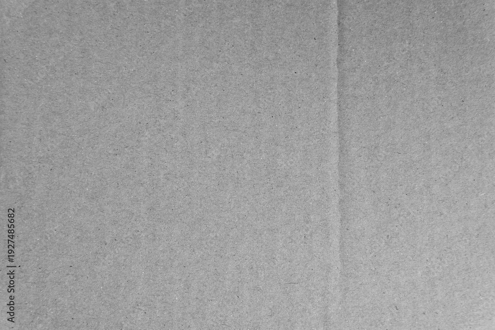 Fototapeta premium Bright light grey clean eco environmental friendly cardboard box paper grain texture background with space minimal style 