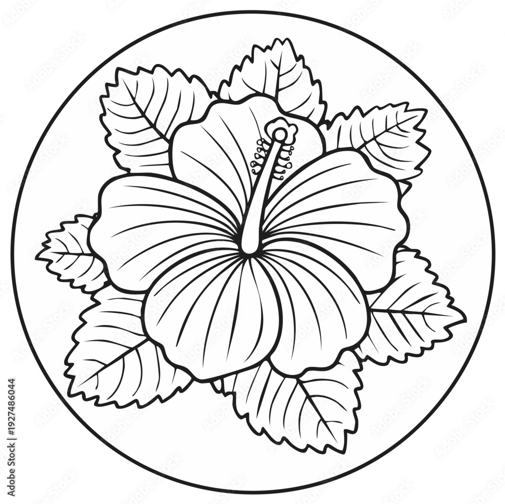 Fototapeta premium Outline Drawing of a Hibiscus Flower Surrounded by Leaves in a Circle