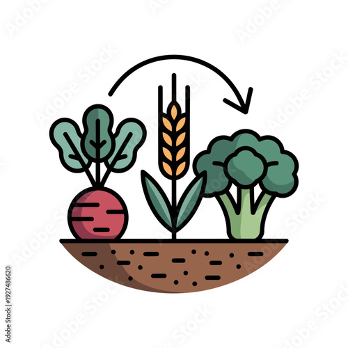 A vector graphic illustration of three vegetables growing in soil with a crop rotation symbol