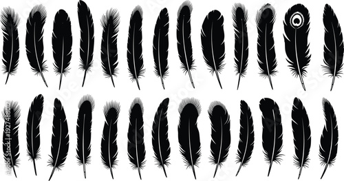 Feather silhouette collection set of bird feathers wing plumes ink hand drawn sketch vector illustration isolated on white background icons