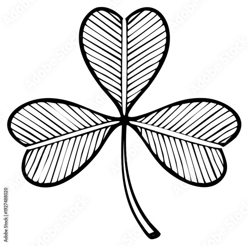 Hand Drawn Black and White Shamrock Leaf Symbol Isolated on White Background